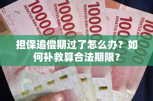 济南担保追偿期过了怎么办？如何补救算合法期限？