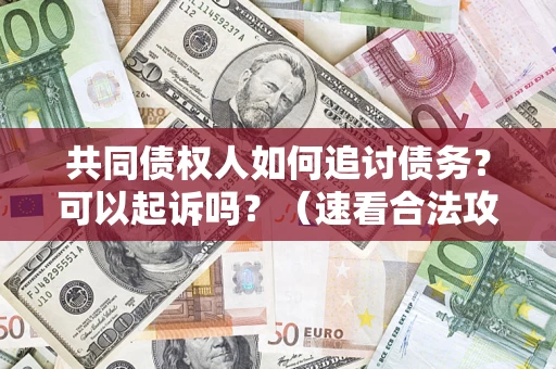 济南共同债权人如何追讨债务？可以起诉吗？（速看合法攻略）